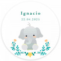 Caramelos sin azúcar en caja metálica con adhesivo diseño elefante presentado en elegante caja para detalles de bautizo