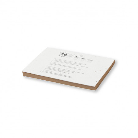 Bloc de notas eco con cubiertas de semillas para plantar en sobre kraft personalizado para detalles fiestas y eventos