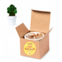Maceta de terracota con semillas de cactus y adhesivo de amistad para regalar
