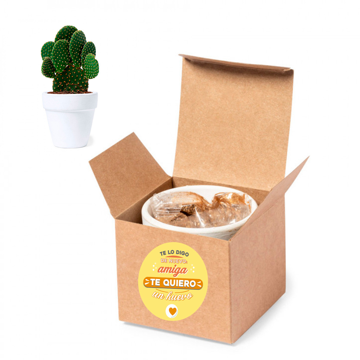 Maceta de terracota con semillas de cactus y adhesivo de amistad para regalar