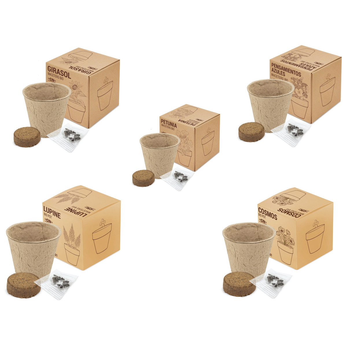 Recuerdos de Invitados Maceta Biodegradable con Semillas