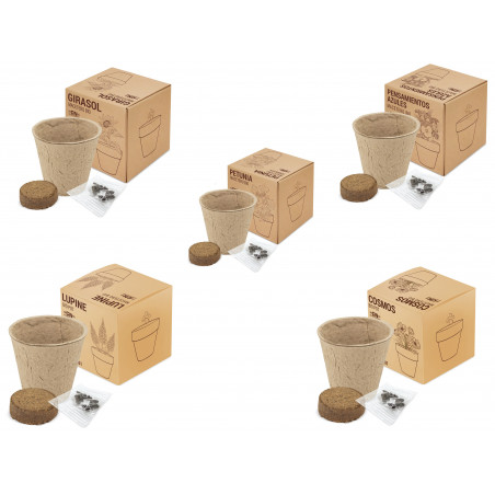 Recuerdos de Invitados Maceta Biodegradable con Semillas