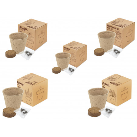 Detalles Originales Maceta con semillas