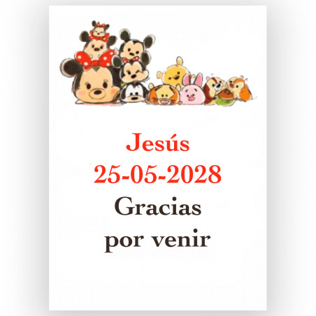 Disney, adhesivo de 5x7cm rectangular para personalizar con texto