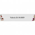 Toy Story, adhesivo 5x1cm transparente personalizado