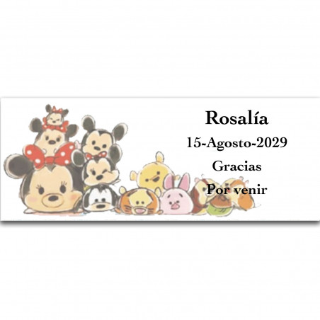 Pandilla de Disney, adhesivo personalizado con fondo blanco 13x5cm horizontal