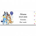 Bluey y Bingo adhesivo personalizado divertido y tierno 13x5cm