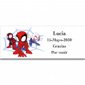 Spidey y su Súperequipo adhesivo personalizado atrevido 13x5cm