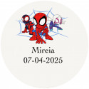 Spidey y su súperequipo adhesivos personalizados de 5cm fondo transparente