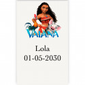 Vaiana moana adhesivo personalizado vertical transparente de 3x5cm