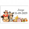 Disney libro de colorear con pegatinas ceras y pica pica personalizado