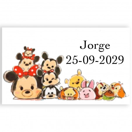 Disney libro de colorear con pegatinas ceras y pica pica personalizado