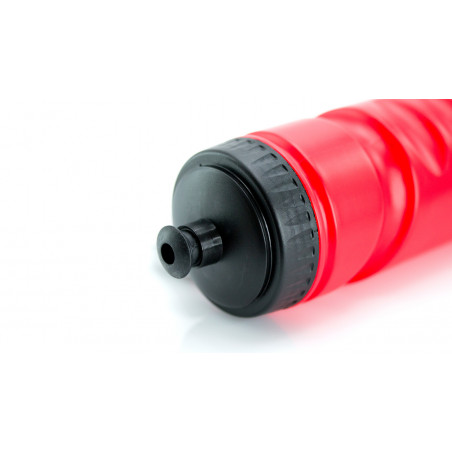 Bluey y Bingo set deportivo para niños personalizado