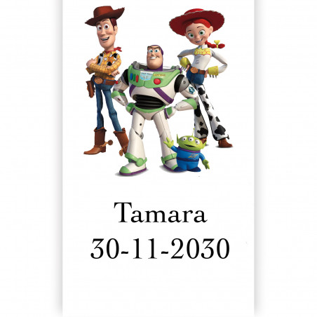 Toy Story detalle infantil temático con juegos educativos y dulce