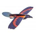 Ala delta de pájaro