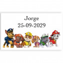 Patrulla Canina set para colorear pompero yoyo y chuche