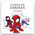 Spidey y su Super equipo bolsa con juegos y chuche para regalar