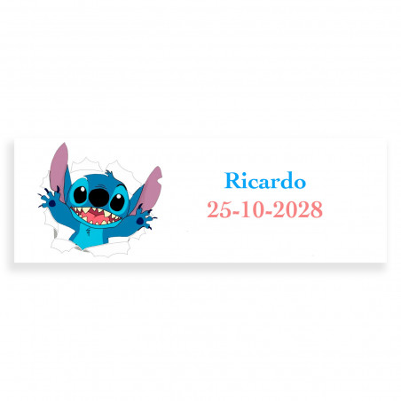 Stitch set con libro para colorear lápices de colores y libreta scrapy