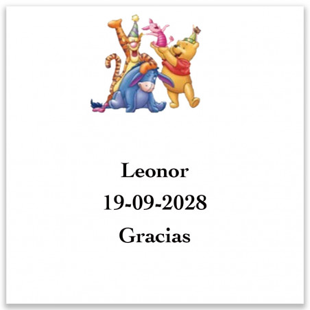 Winnie the Pooh bolsa para pintar con regalos