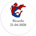 Spiderman libreta scrapy pompero y cubo de habilidad