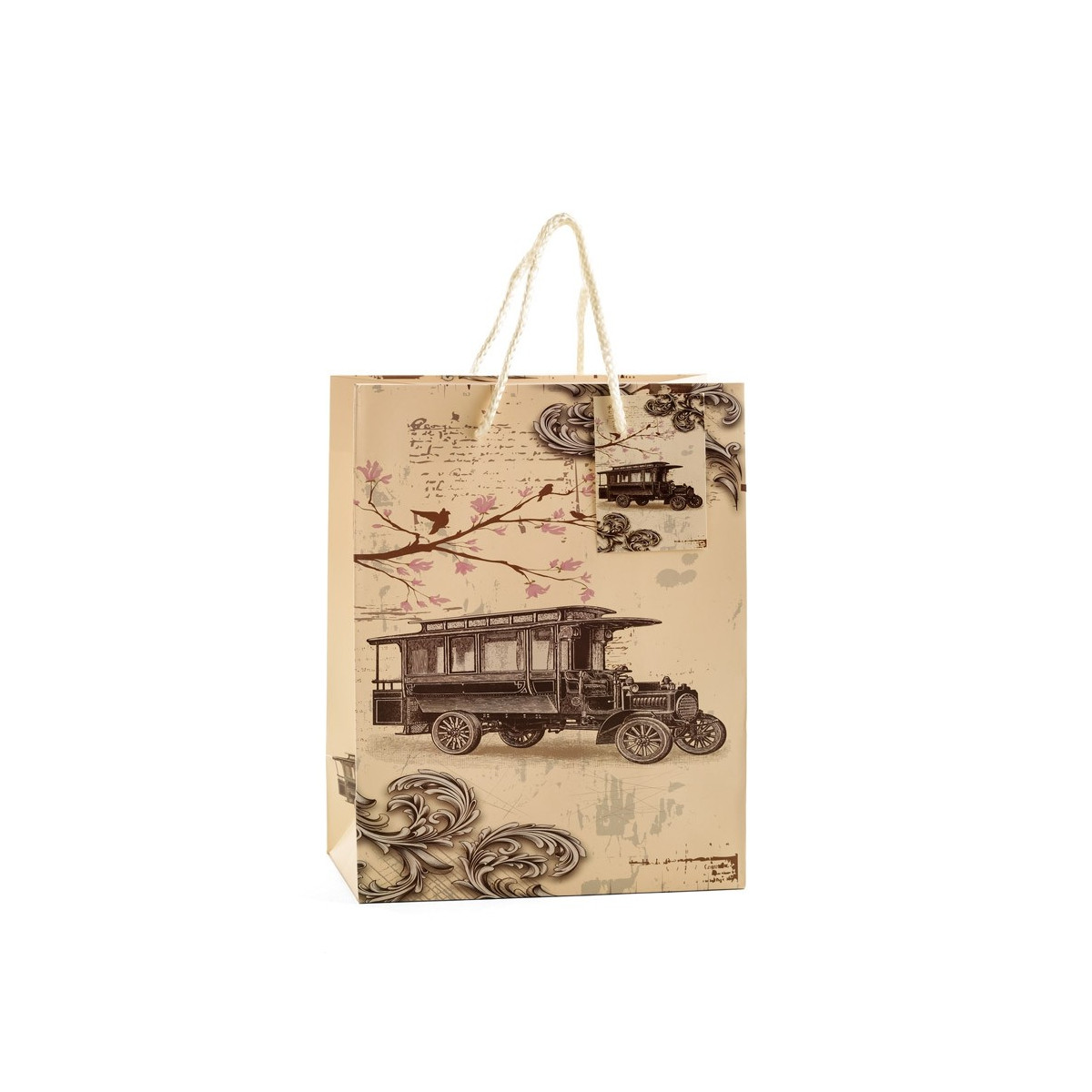 Bolsa vintage mediana