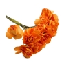 Flor naranja pequeña