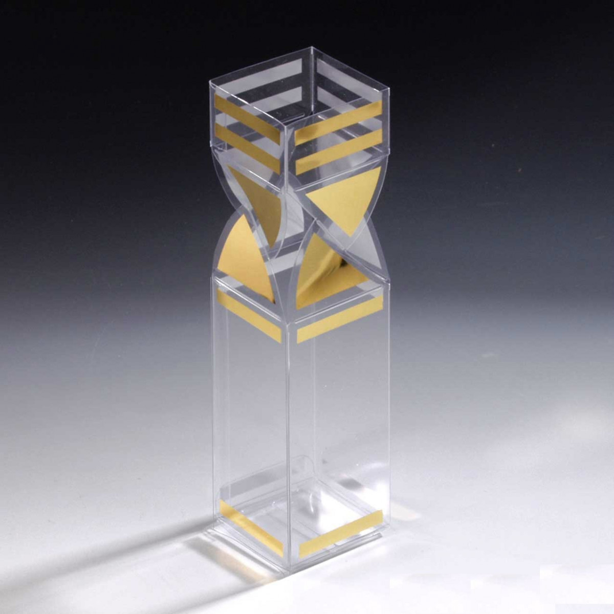 Estuche transparente