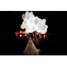 Leds para Bodas, Decoraciones Boda Originales y Baratos